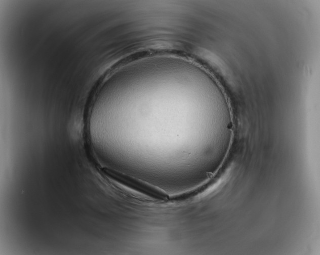 X0000092051065200709262005