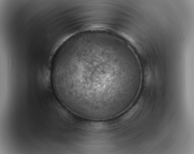 X0000092051066200709262005