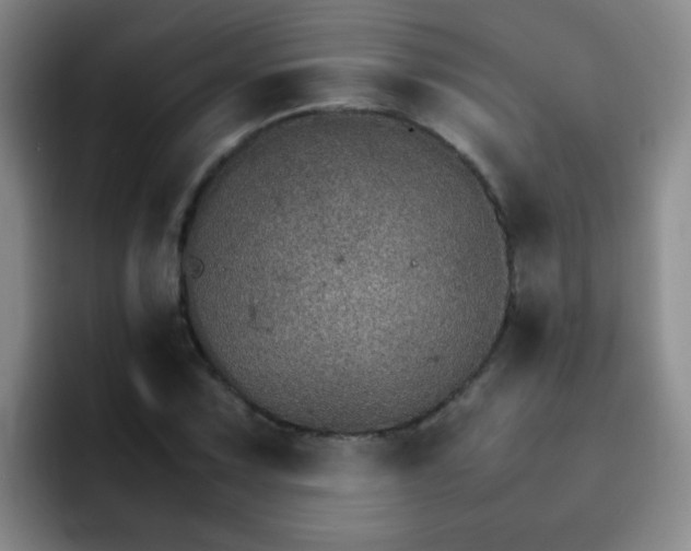 X0000092051067200709262005