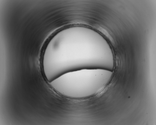 X0000092051068200709262005