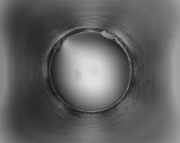 X0000092051069200709262005