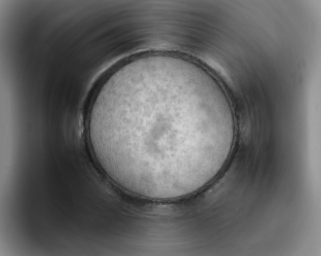 X0000092051070200709262005