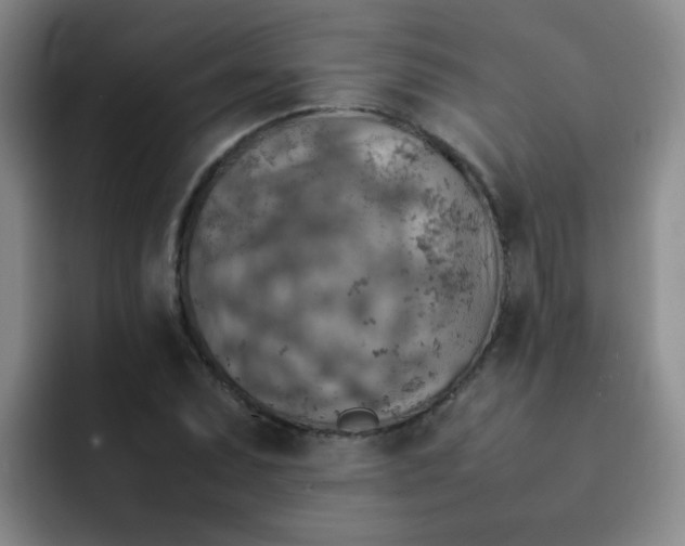 X0000092051071200709262005