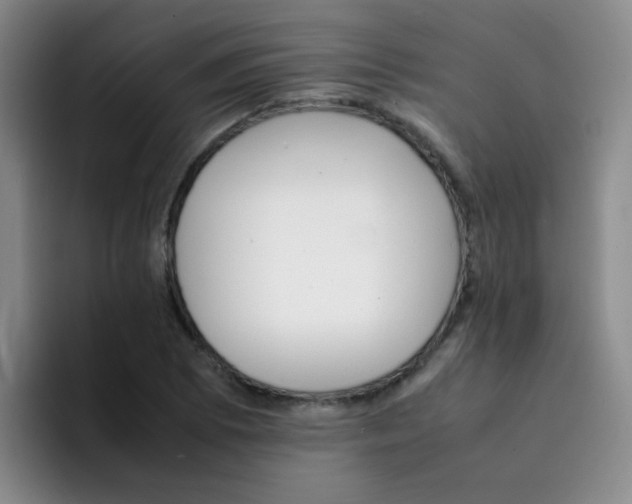 X0000092051073200709262005