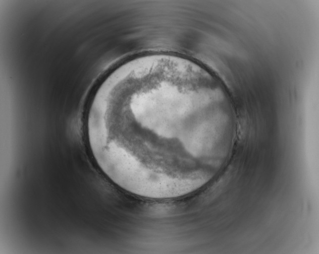 X0000092051074200709262005