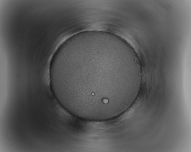 X0000092051075200709262005