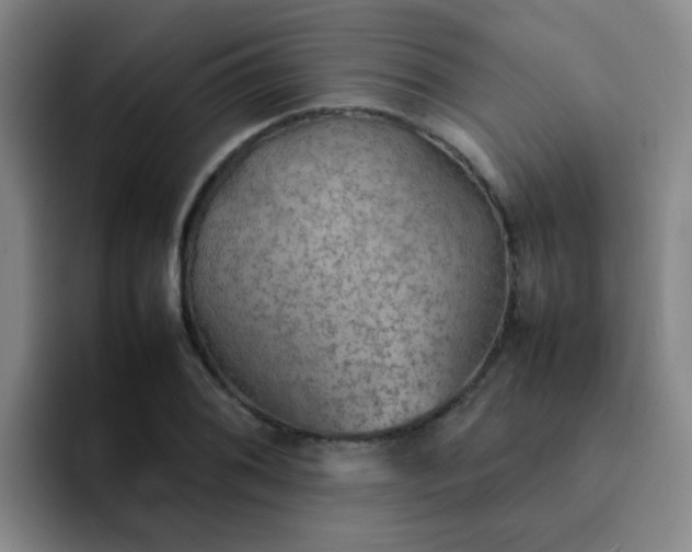 X0000092051076200709262005