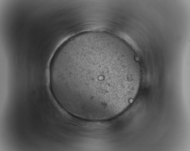 X0000092051079200709262005