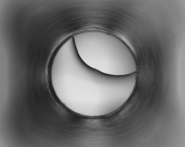 X0000092051082200709262005