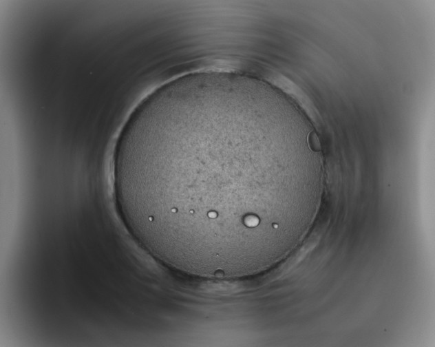 X0000092051083200709262005