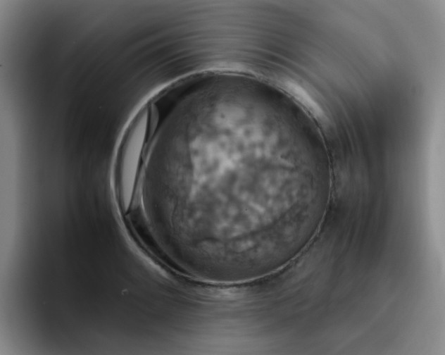 X0000092051084200709262005