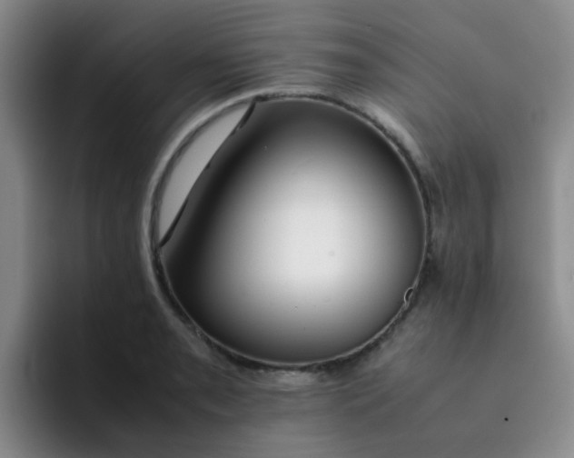 X0000092051085200709262005