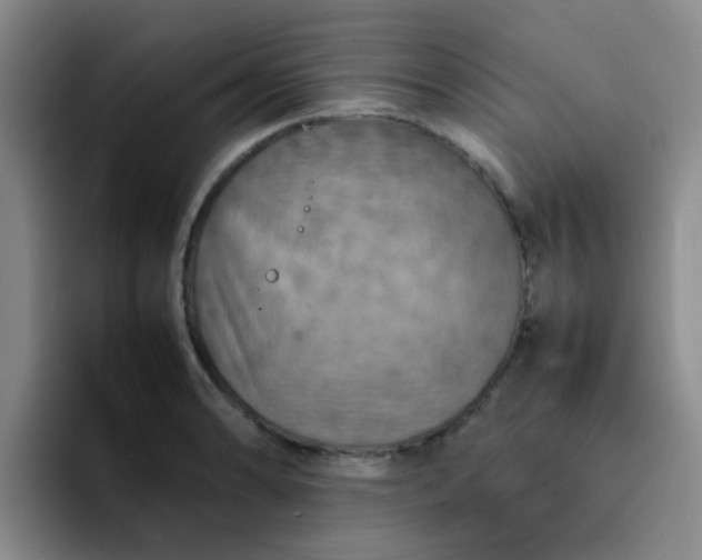 X0000092051086200709262005