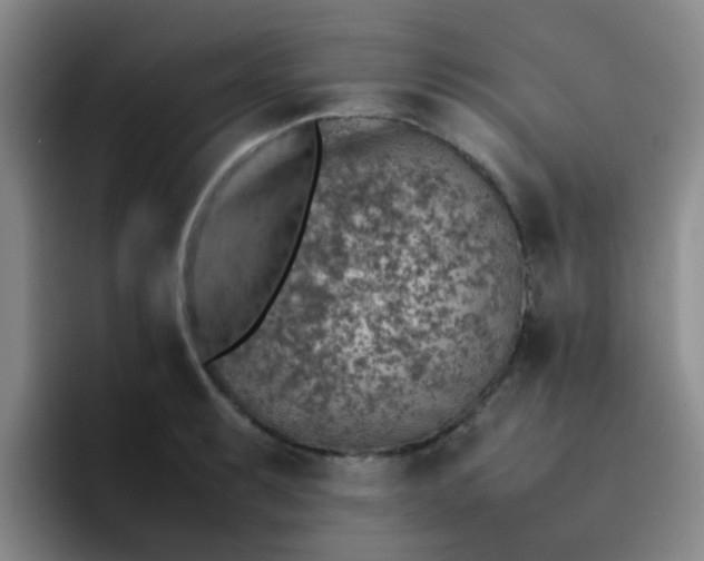 X0000092051087200709262005