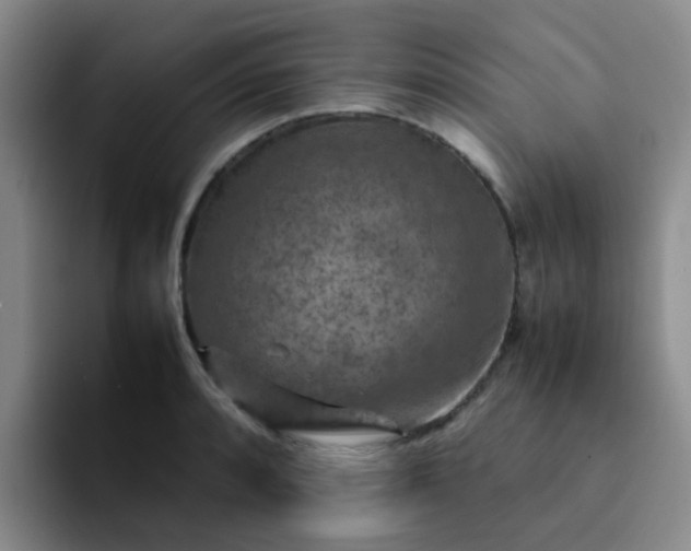 X0000092051088200709262005