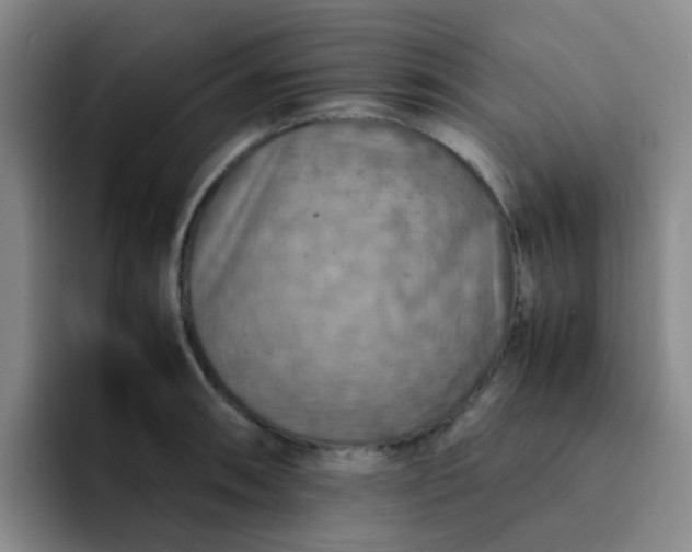 X0000092051090200709262005