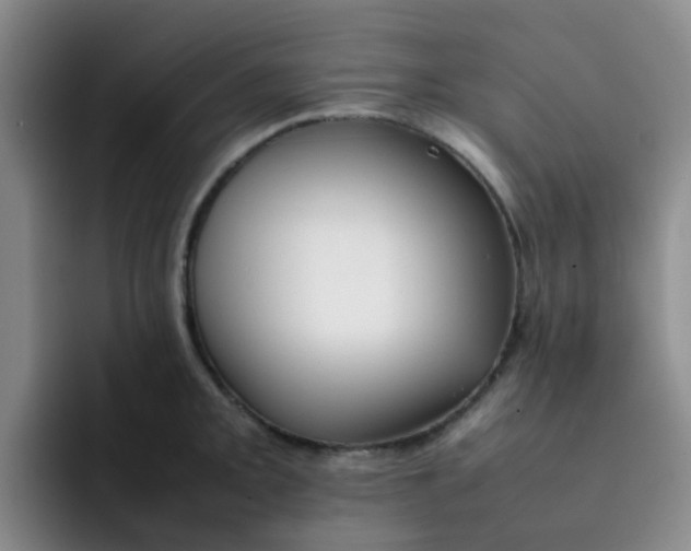 X0000092051093200709262005