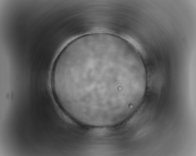 X0000092051094200709262005