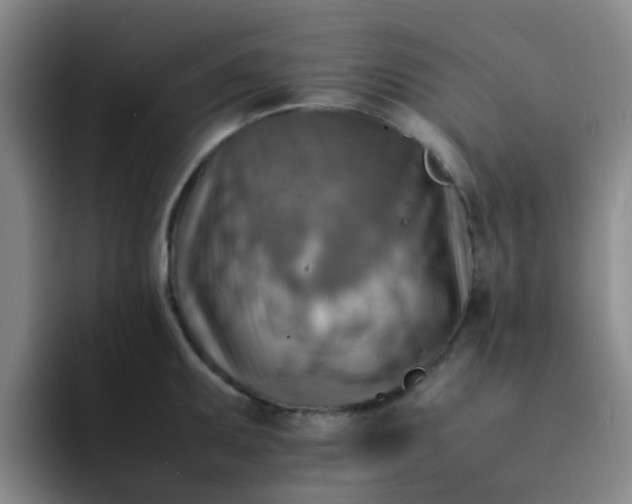 X0000092051095200709262005