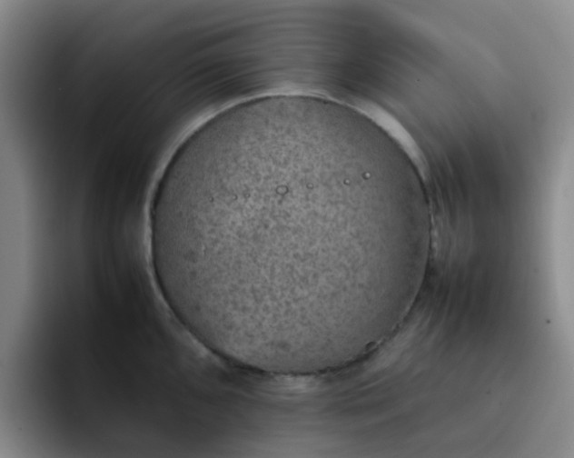 X0000092051096200709262005