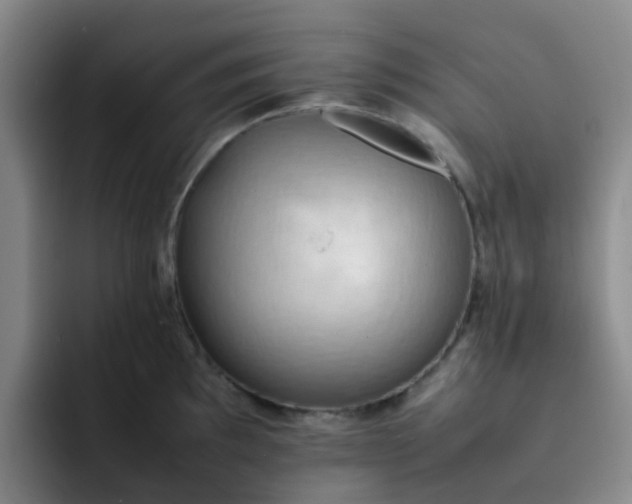 X0000092051097200709262005