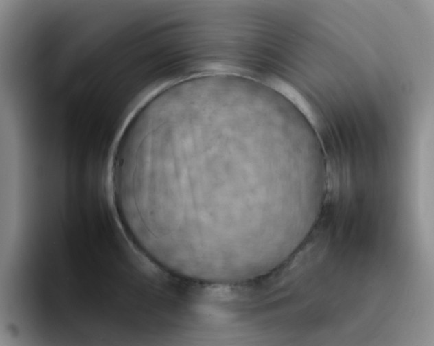 X0000092051098200709262005