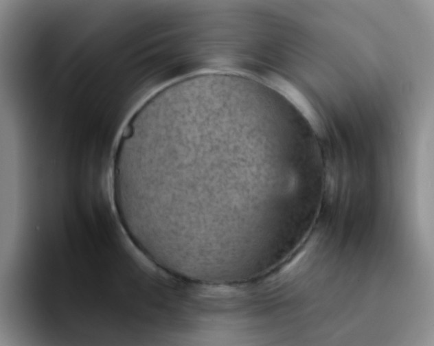 X0000092051100200709262005