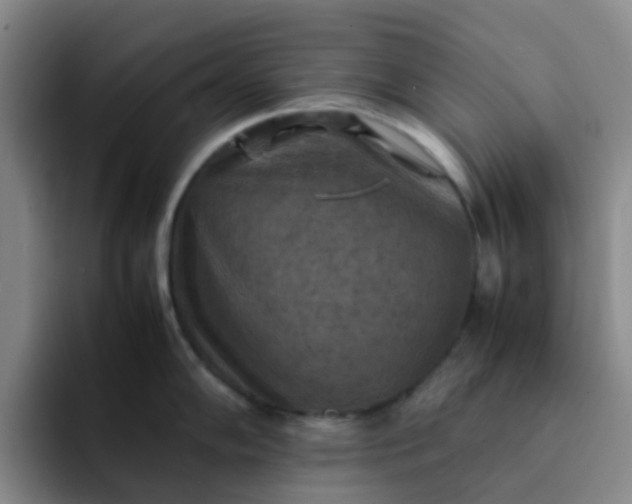 X0000092051102200709262005