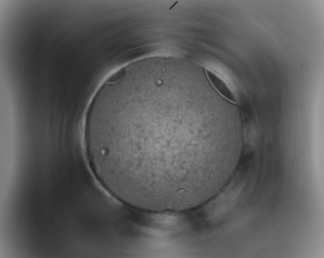 X0000092051103200709262005