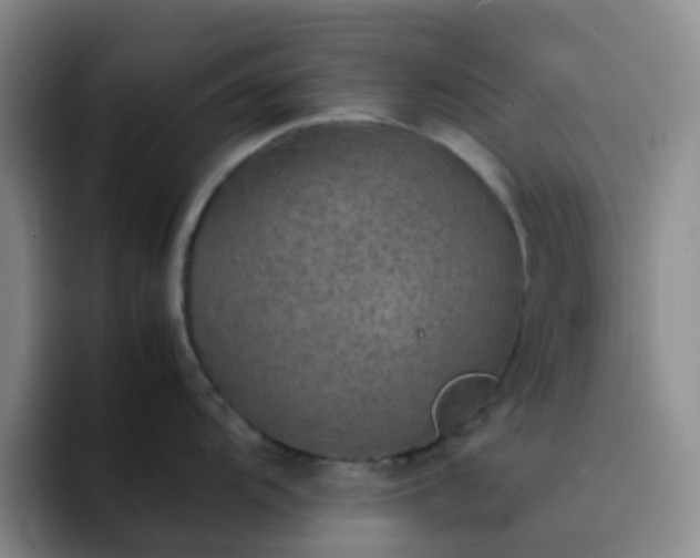 X0000092051104200709262005