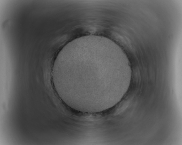 X0000092051105200709262004