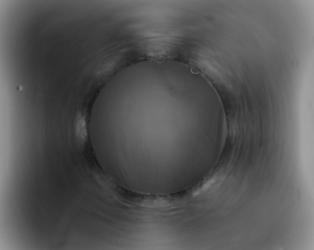 X0000092051106200709262004