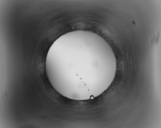 X0000092051109200709262004