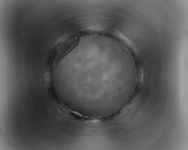 X0000092051110200709262004