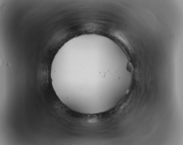 X0000092051111200709262004