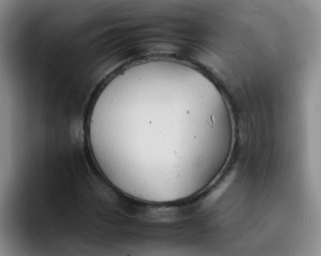 X0000092051113200709262004