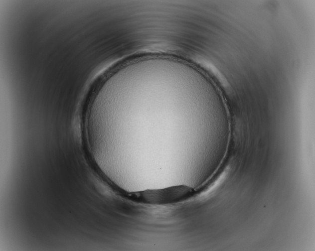 X0000092051114200709262004