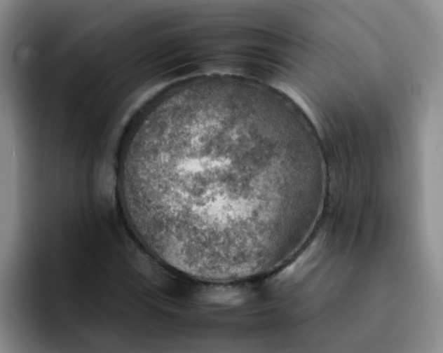 X0000092051115200709262004