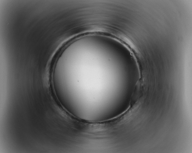 X0000092051116200709262004