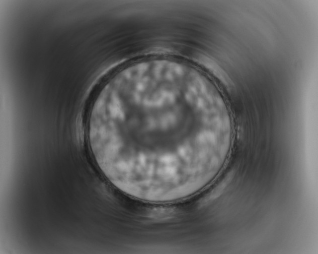 X0000092051117200709262004