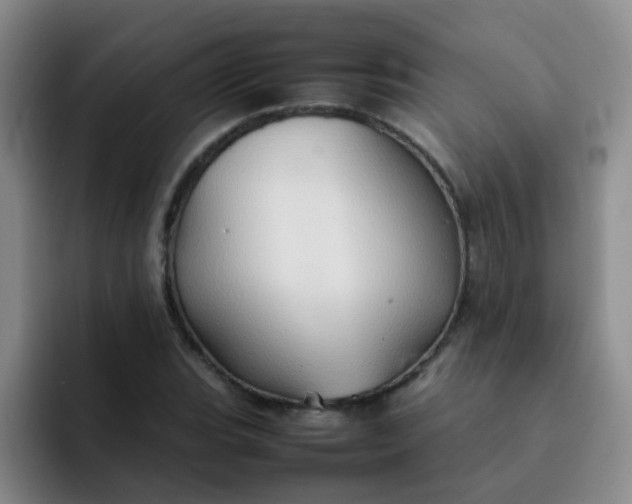 X0000092051119200709262004