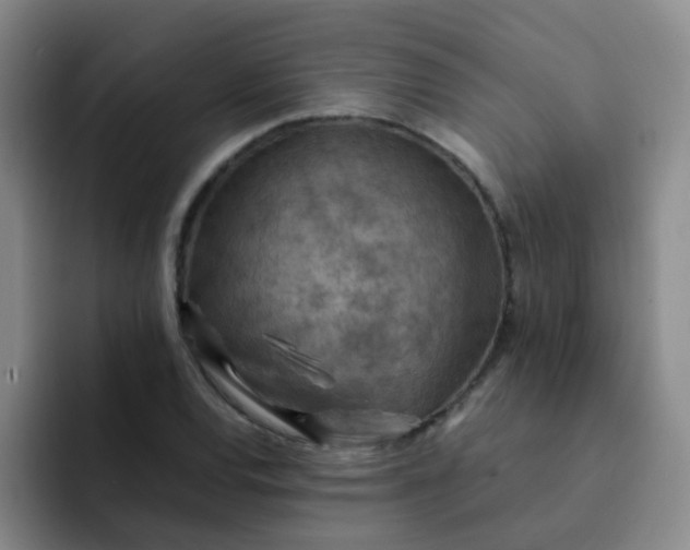 X0000092051120200709262004