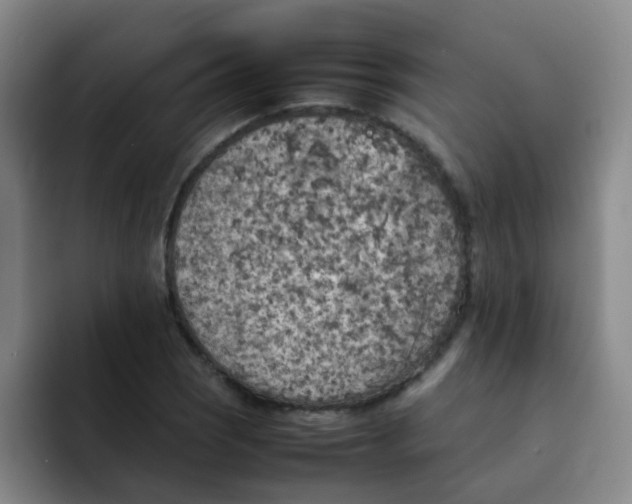 X0000092051121200709262004