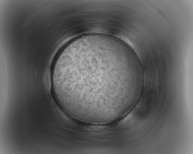 X0000092051123200709262004