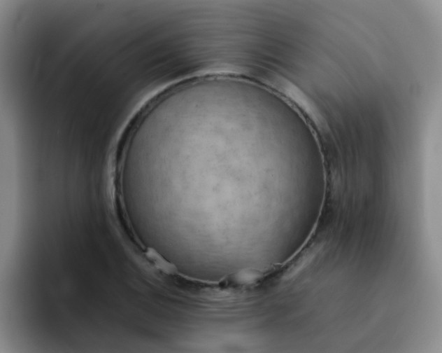 X0000092051124200709262004