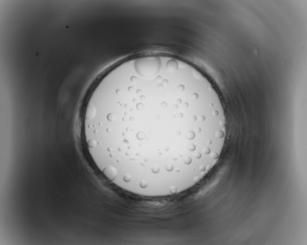 X0000092051125200709262004