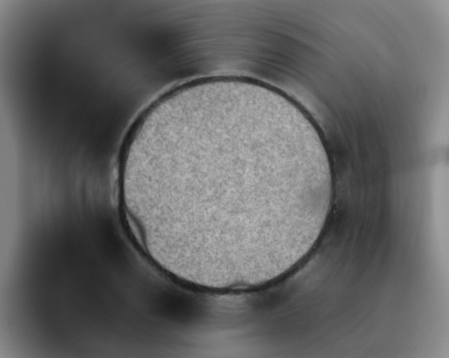 X0000092051126200709262004