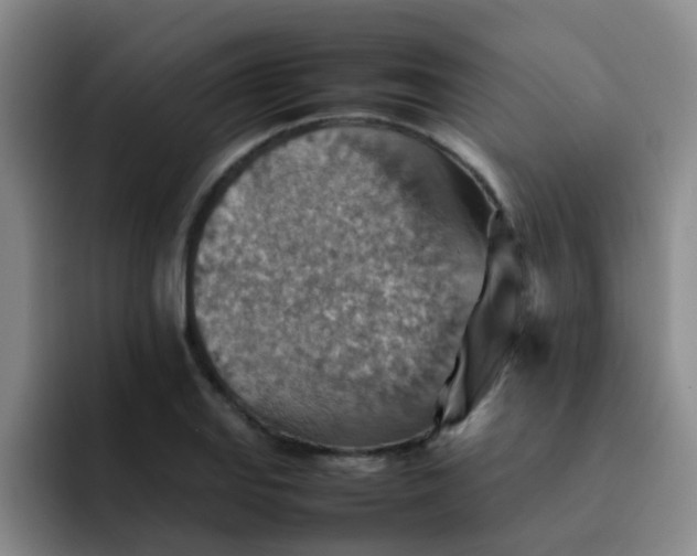 X0000092051127200709262004