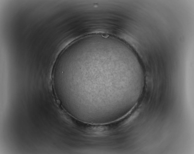 X0000092051129200709262004