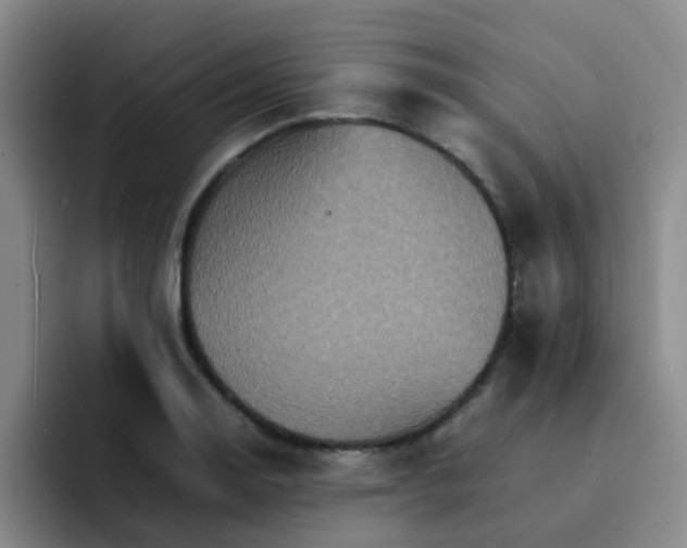 X0000092051130200709262004